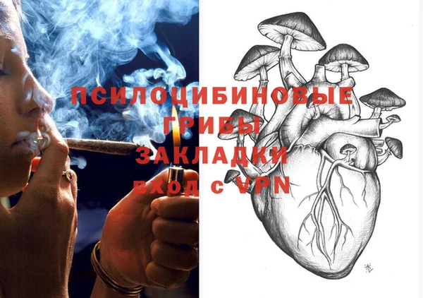 соль ск Балахна