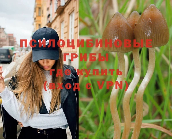 метадон Белокуриха
