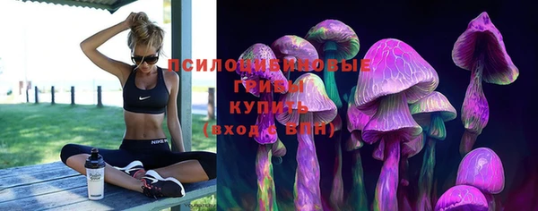 spice Балабаново